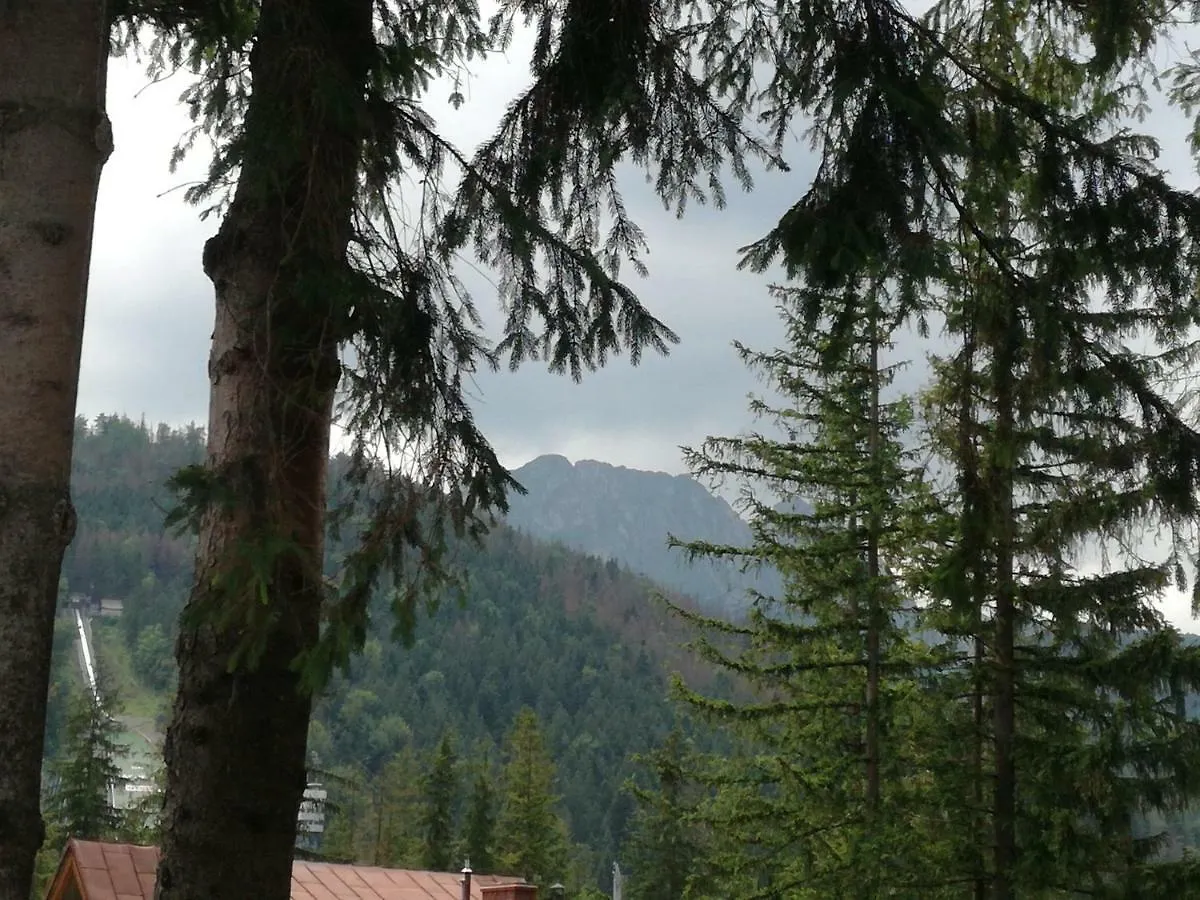 Apartamento Dom Pod Skocznia Zakopane Habitación en casa particular